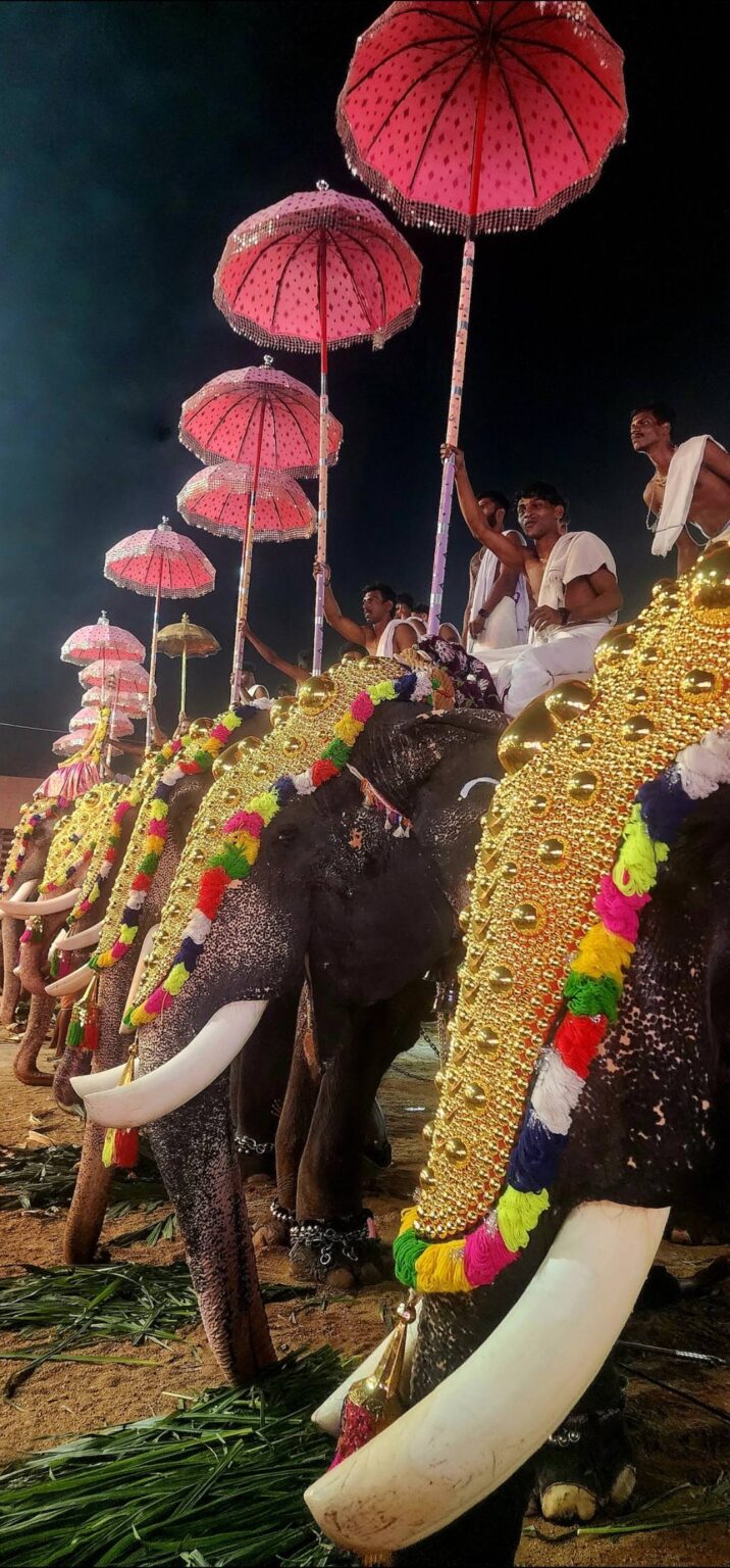 598431419_26436489632607922_770831001980626659_n